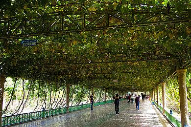 防止内容被抓取训练AI 百度百科屏蔽谷歌＆必应等搜索引擎